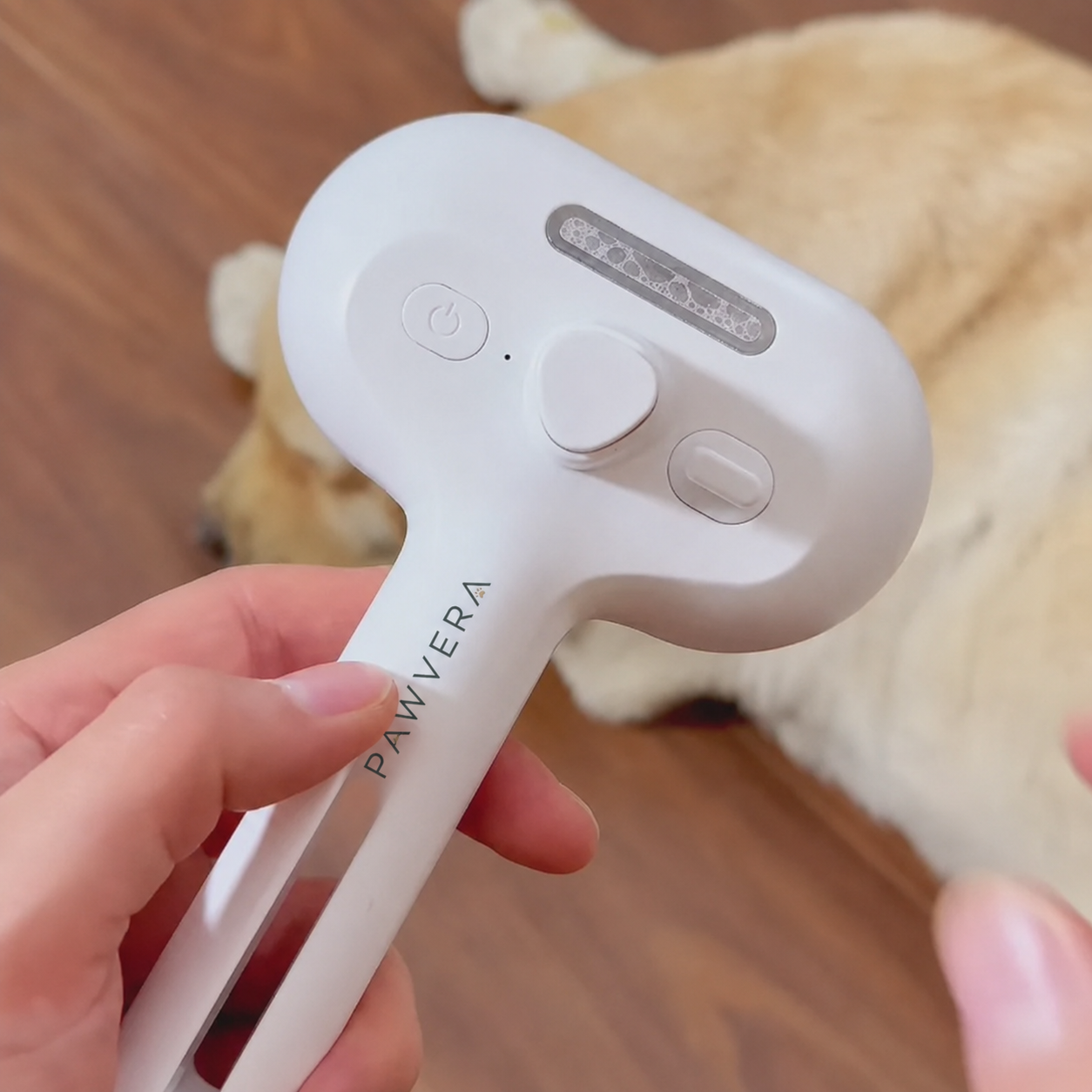 Pawvera MistCare™ 3-in-1 Pet Grooming Brush